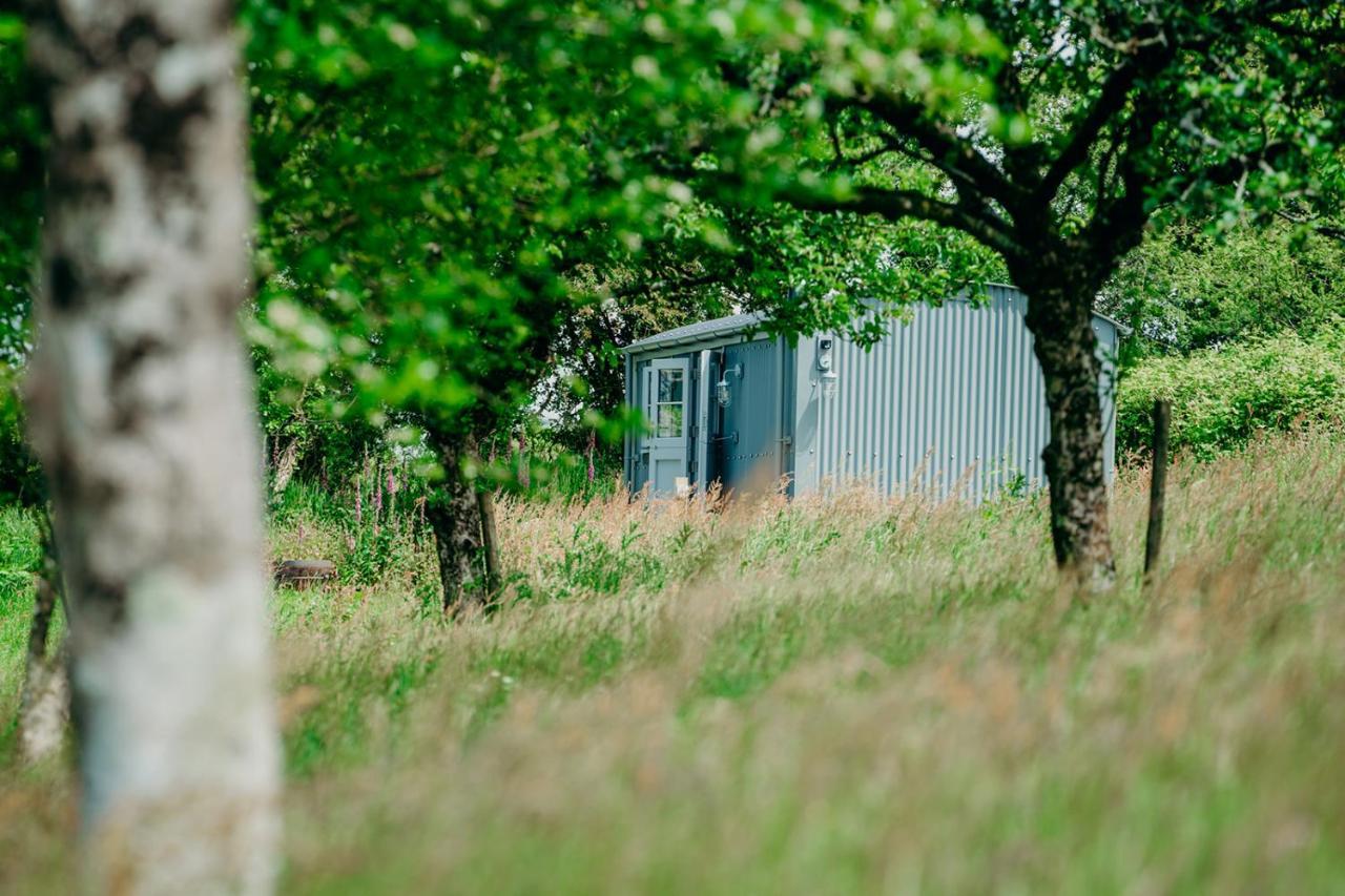 Blatchford Briar - Award Winning Private Shephards Huts With Their Own Secluded Hot Tubs Milton Abbot Eksteriør bilde