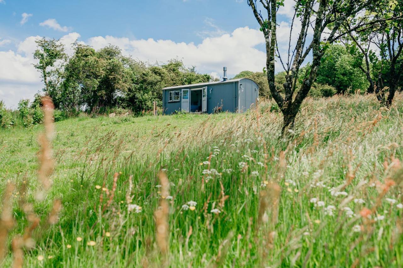 Blatchford Briar - Award Winning Private Shephards Huts With Their Own Secluded Hot Tubs Milton Abbot Eksteriør bilde