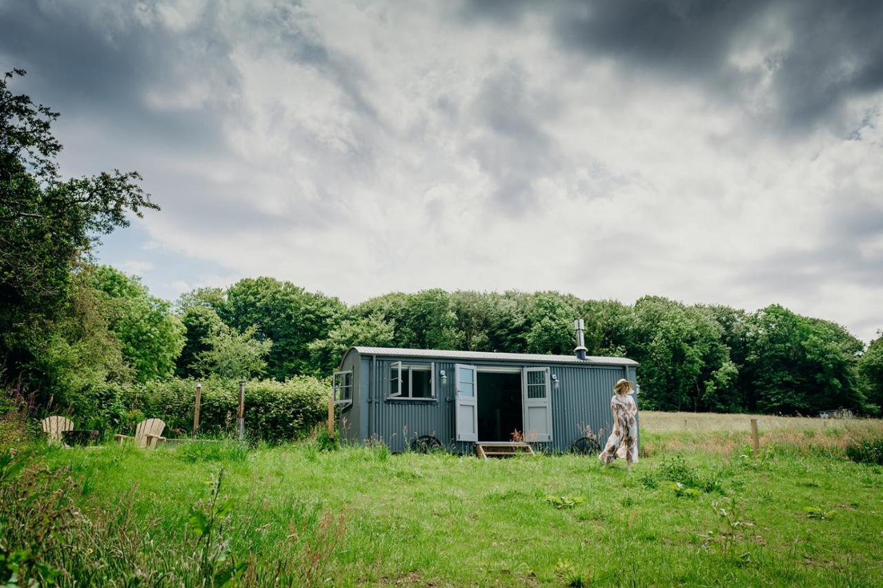 Blatchford Briar - Award Winning Private Shephards Huts With Their Own Secluded Hot Tubs Milton Abbot Eksteriør bilde