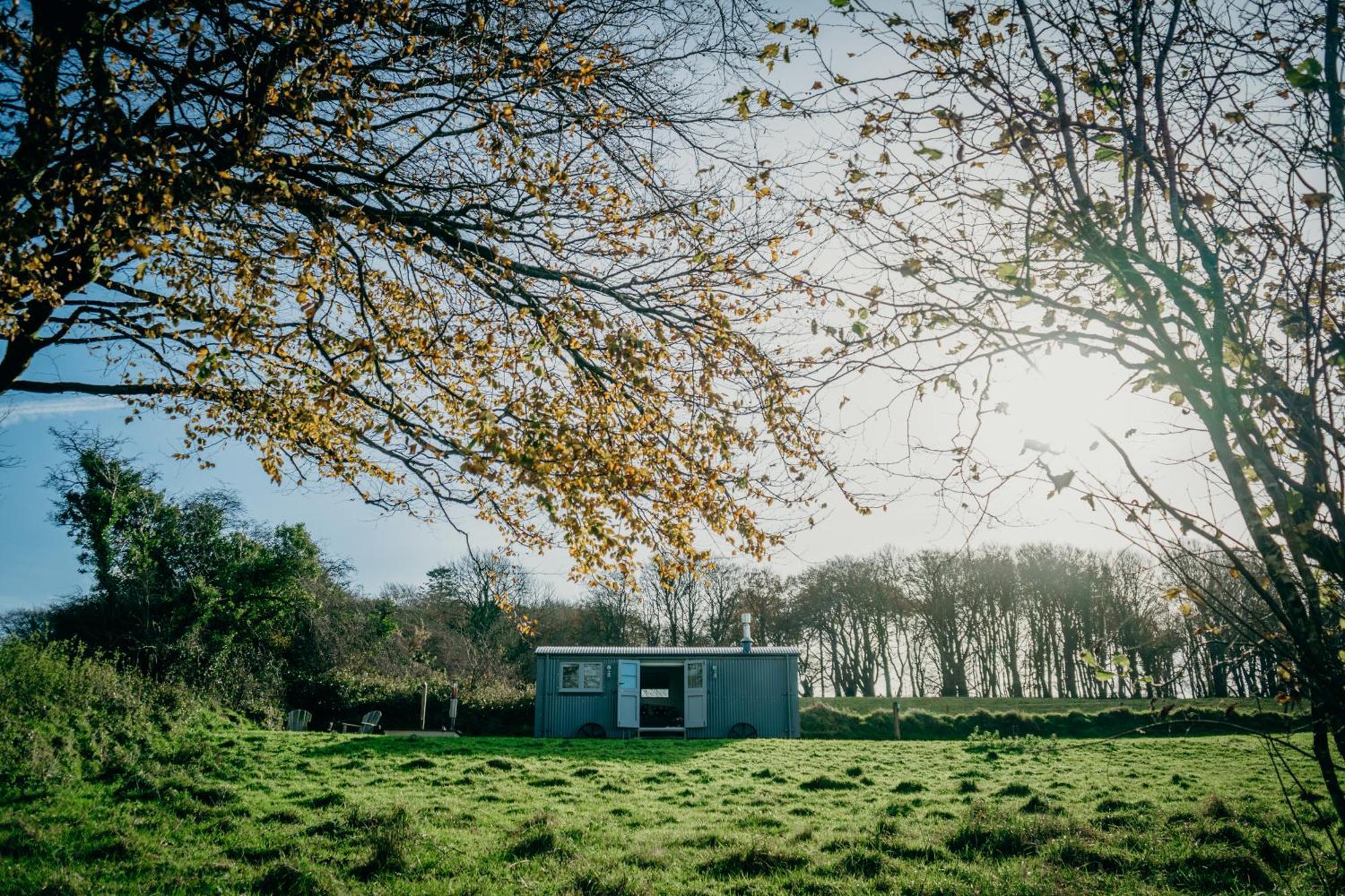 Blatchford Briar - Award Winning Private Shephards Huts With Their Own Secluded Hot Tubs Milton Abbot Eksteriør bilde